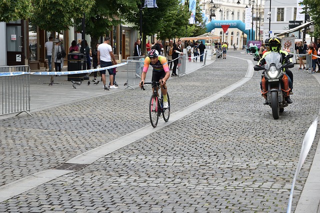 的心理发展 的心理发展