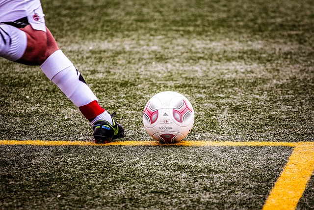 东道主成功 东道主成功