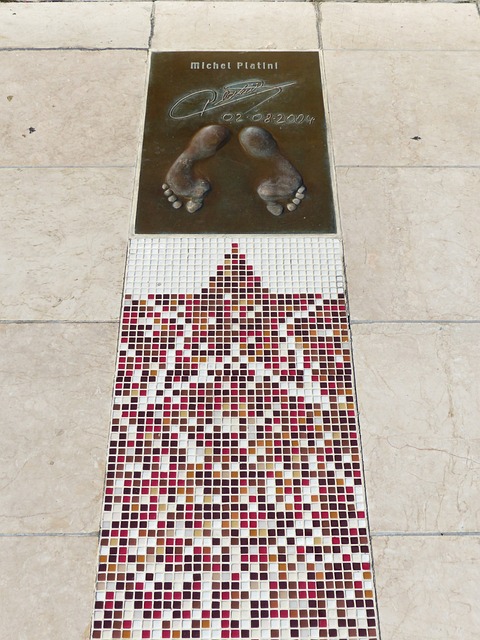 方针的实践 方针的实践