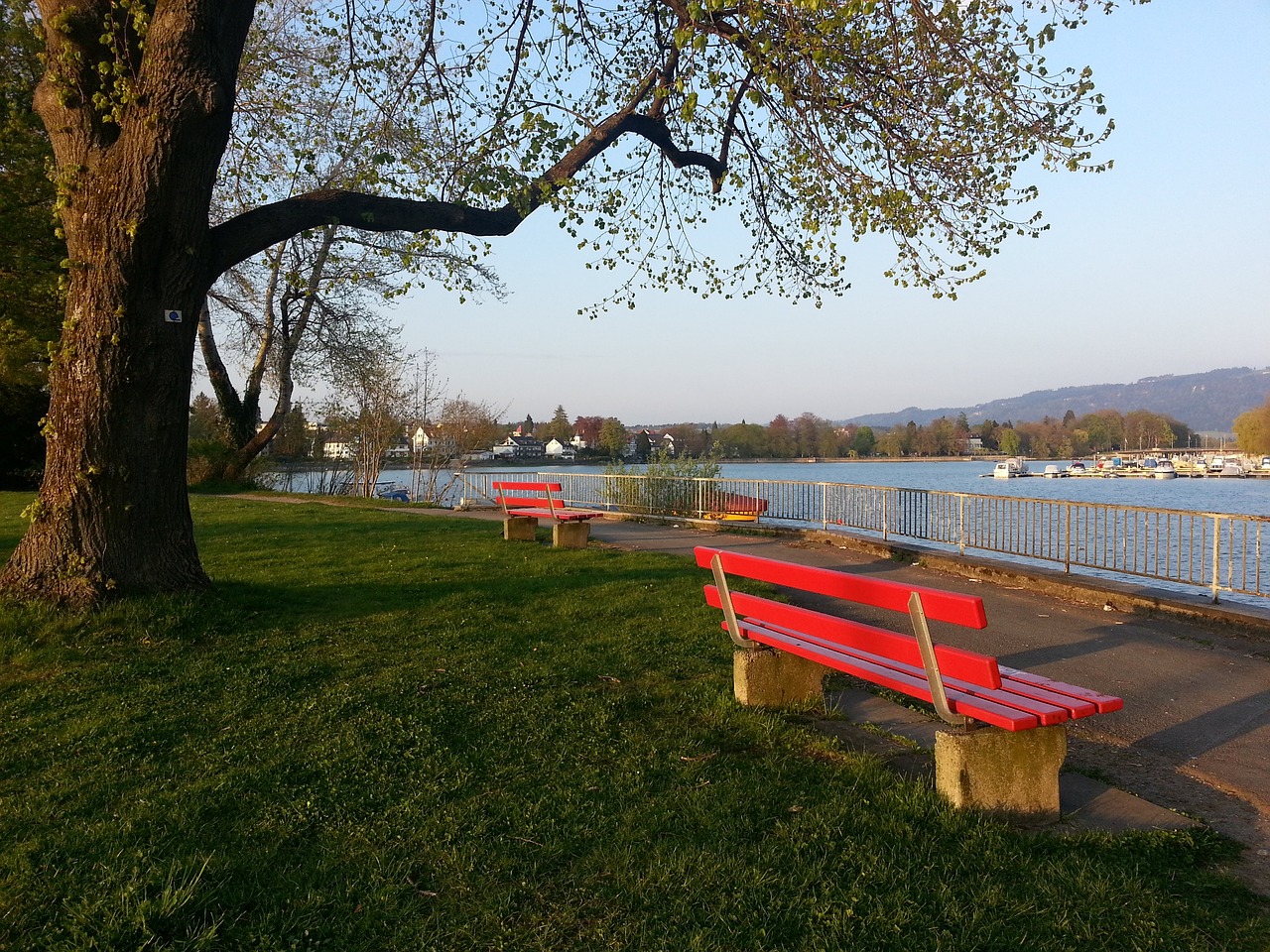 也有很高的 也有很高的