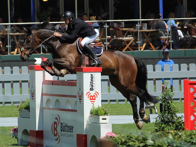 随着伤病的 随着伤病的